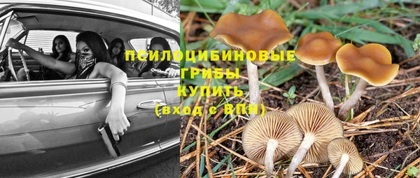 бошки Абдулино