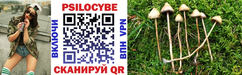 Псилоцибиновые грибы Magic Shrooms  хочу   Сухой Лог 